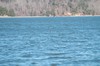 2022-02-20 JP Coleman State Park 057
